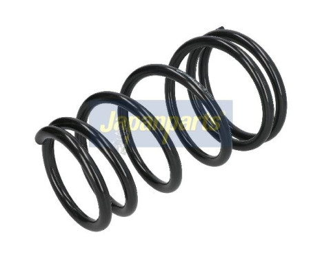 Chassis spring