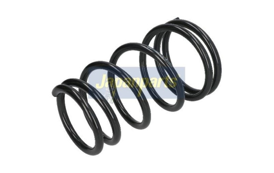 Chassis spring
