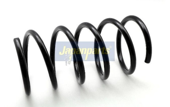 Chassis spring