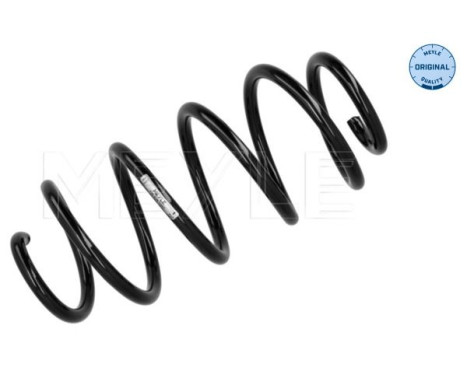 Chassis spring