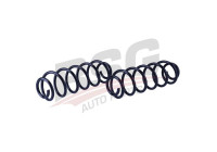 chassis spring
