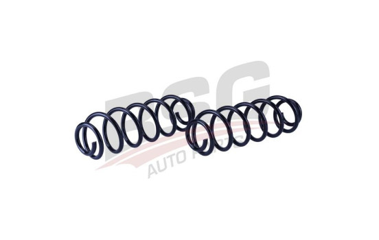 chassis spring