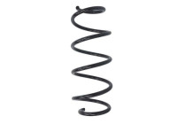 Chassis spring