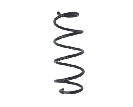 Chassis spring