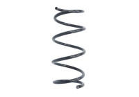 Chassis spring