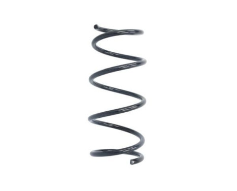 Chassis spring