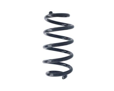 Chassis spring