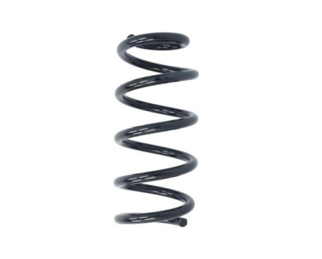 Chassis spring