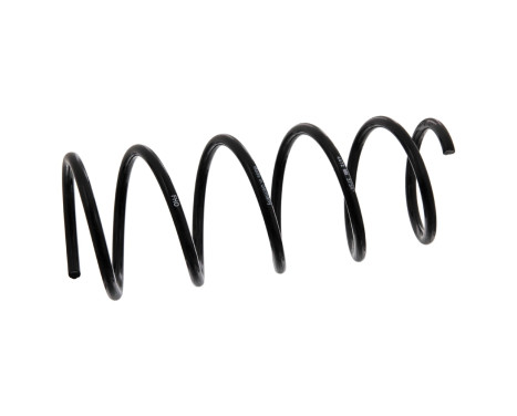 Coil Spring 37391 FEBI