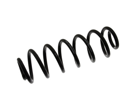 Coil Spring 37817 FEBI