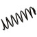 Coil Spring 39816 FEBI