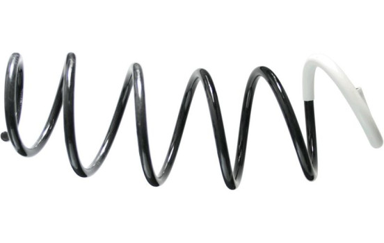 Coil Spring 993 072 Sachs
