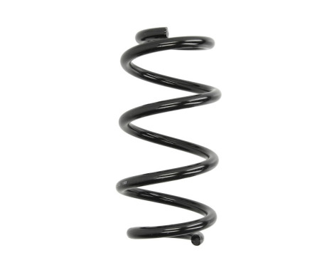 Coil Spring 993 134 Sachs
