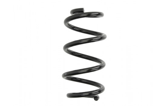 Coil Spring 993 134 Sachs