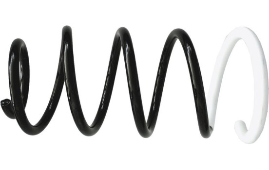Coil Spring 993 235 Sachs