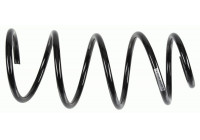 Coil Spring 993 250 Sachs