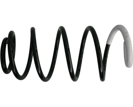 Coil Spring 993 300 Sachs