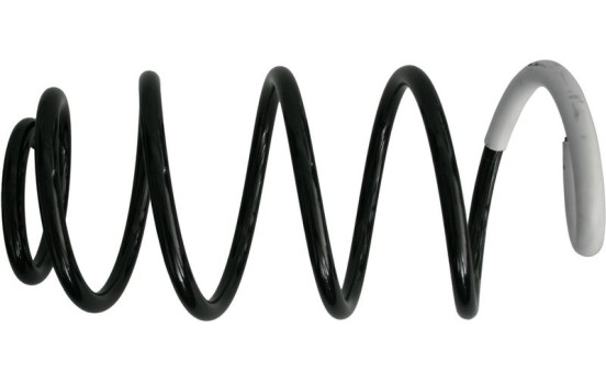 Coil Spring 993 300 Sachs