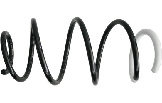 Coil Spring 993 325 Sachs