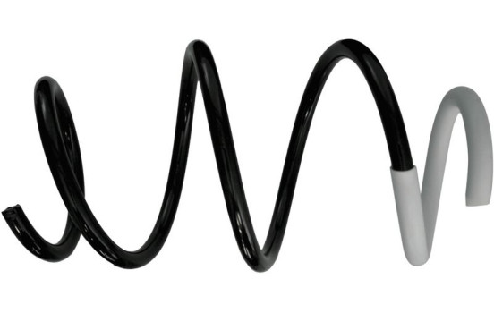 Coil Spring 993 458 Sachs