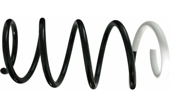 Coil Spring 993 596 Sachs