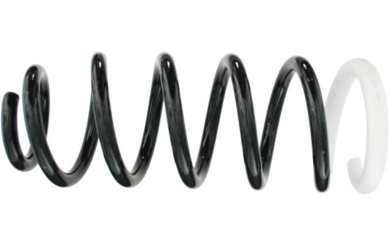 Coil Spring 994 637 Sachs