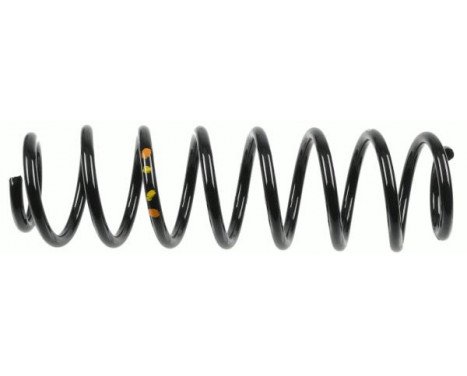 Coil Spring Coil Spring