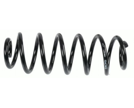 Coil Spring Coil Spring