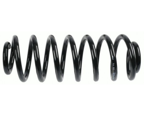 Coil Spring Coil Spring
