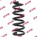 Coil Spring K-Flex RA1050 Kayaba