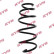 Coil Spring K-Flex RA1075 Kayaba