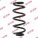Coil Spring K-Flex RA1088 Kayaba