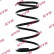 Coil Spring K-Flex RA1099 Kayaba