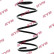 Coil Spring K-Flex RA1101 Kayaba