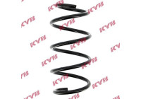 Coil Spring K-Flex RA1107 Kayaba