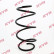 Coil Spring K-Flex RA1157 Kayaba