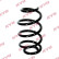 Coil Spring K-Flex RA1171 Kayaba