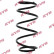 Coil Spring K-Flex RA1173 Kayaba