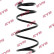 Coil Spring K-Flex RA1210 Kayaba