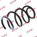 Coil Spring K-Flex RA1212 Kayaba, Thumbnail 2