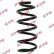 Coil Spring K-Flex RA1218 Kayaba
