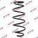 Coil Spring K-Flex RA1221 Kayaba