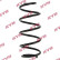 Coil Spring K-Flex RA1228 Kayaba