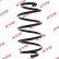 Coil Spring K-Flex RA1233 Kayaba