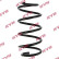 Coil Spring K-Flex RA1234 Kayaba