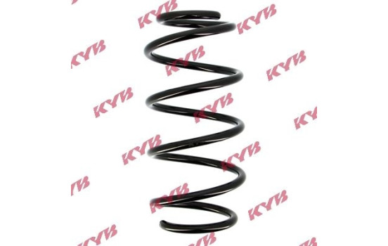 Coil Spring K-Flex RA1238 Kayaba