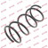 Coil Spring K-Flex RA1239 Kayaba