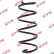 Coil Spring K-Flex RA1255 Kayaba