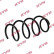Coil Spring K-Flex RA1256 Kayaba