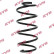 Coil Spring K-Flex RA1263 Kayaba